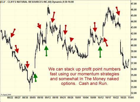 Options Trading AUTHORITY PREMIUMPILLAGE Weekly Options Naked Options System