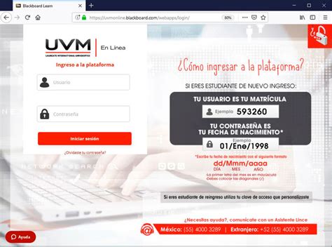 C Mo Ingreso Por Primera Vez A La Plataforma Blackboard Uvm En L Nea