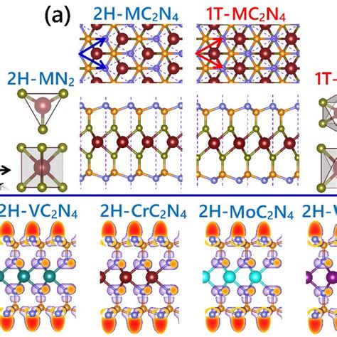 A Top And Side Views Of Mc2n4 Monolayer In 2h And 1t Phases The