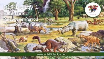 biology paleogene period  science classes  littlepigs