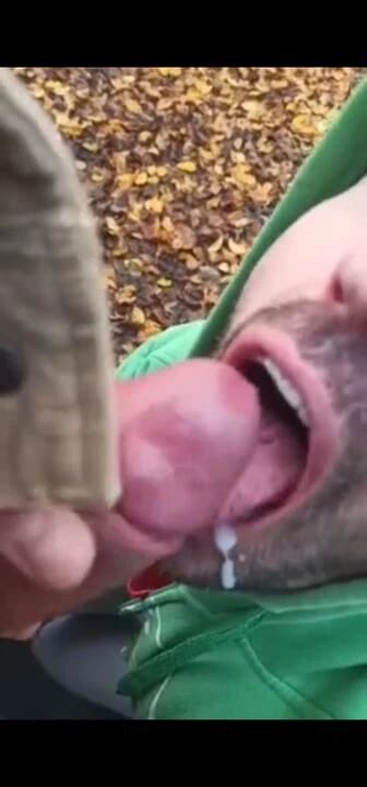 Vidéos porno gay gratuites Sucer Une Bite Et Avaler Du Sperme xHamster