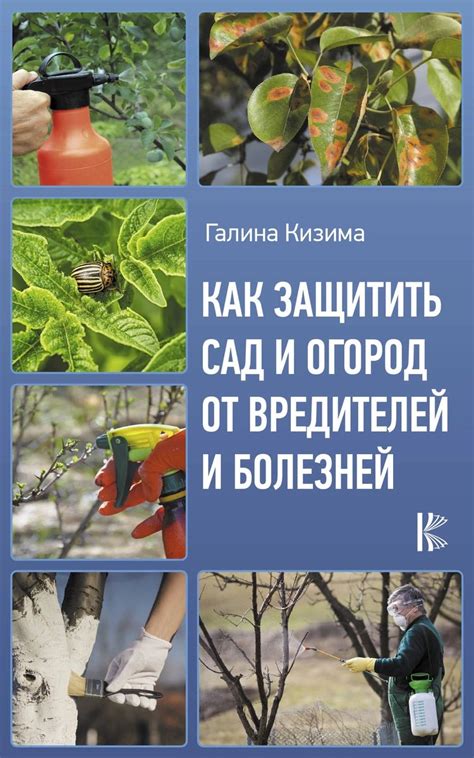 Как вырастить и защитить огурцы от вредителей и болезней в саду ...