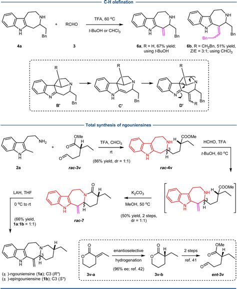 Ch Functionalization Of Alkyl Tryptamines Direct Assembly Of