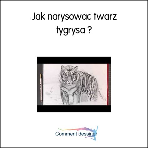 Jak narysować twarz tygrysa Jak narysować