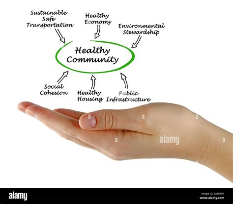 Diagram Of Healthy Community Stock Photo Alamy