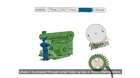 The Pelleting Process - Borregaard