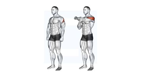 Rear Deltoid Stretch Guide Benefits And Form