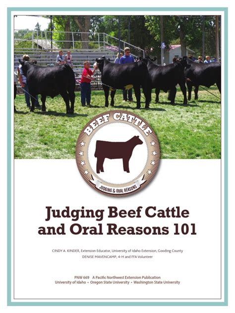 Beef Judging Pdf Cattle Length