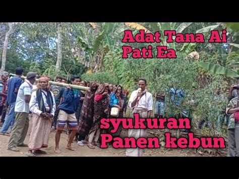 Pati Ea Ritual Adat Syukuran Panen Kebun Youtube