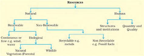 Division Of Resources