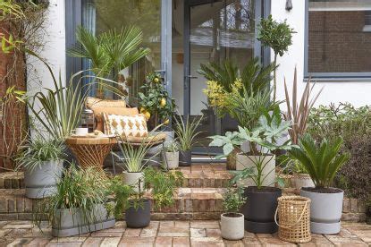 Ideas For Small Gardens On A Budget How To Maximise Style For