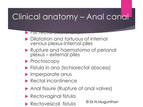 Rectum Anal Canal By Prof Dr N Mugunthan Pdf