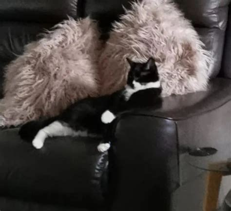 F Eeling Hot Today Might Delete Later Scrolller