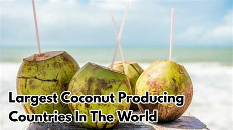 Top 10 Largest Coconut Producing Countries In The World Youtube