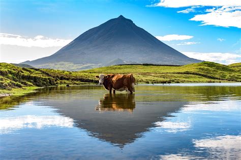 Coisas Para Fazer No Pico Açores Itinerário De 4 Dias