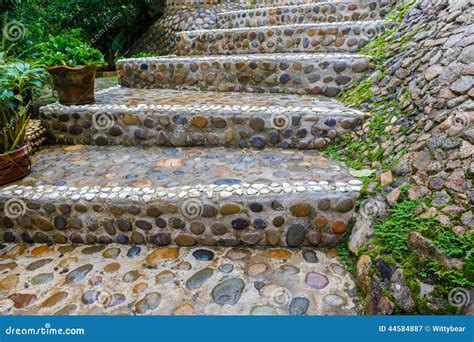 Trajeto De Pedra Das Escadas No Jardim Imagem De Stock Imagem De