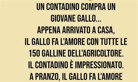 Barzelletta Un Contadino Compra Un Giovane Gallo Appena Arrivato