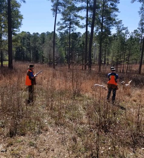 Sporting Clays Big Red Oak Plantation United States