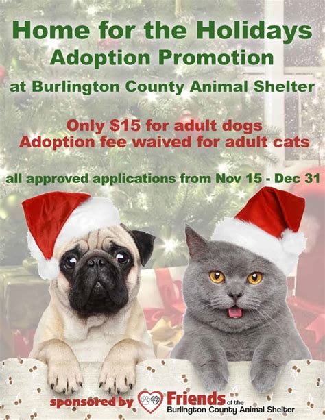 Home For The Holidays Adoption Promotion Through Dec 31 Friends Of