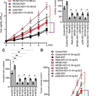 Deficiency Of Ncoa P Nf B Members Inhibited Breast Cancer Cell