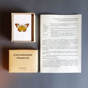 Купить Методика «Классификация предметов» в Москве | Mtvideo.ru