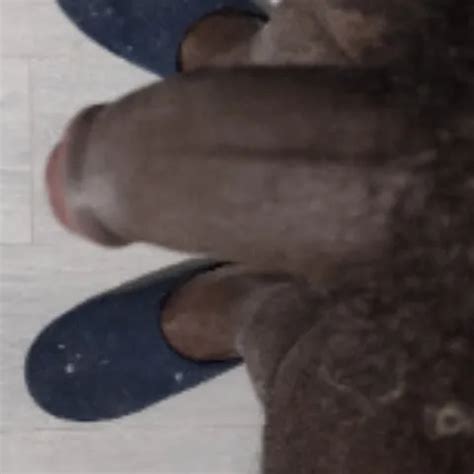 Real Freaky Love Eating Pussy XHamster