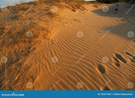 Paesaggio Del Tramonto Nelle Dune Desertiche Delle Sabbie Oleshky Sands