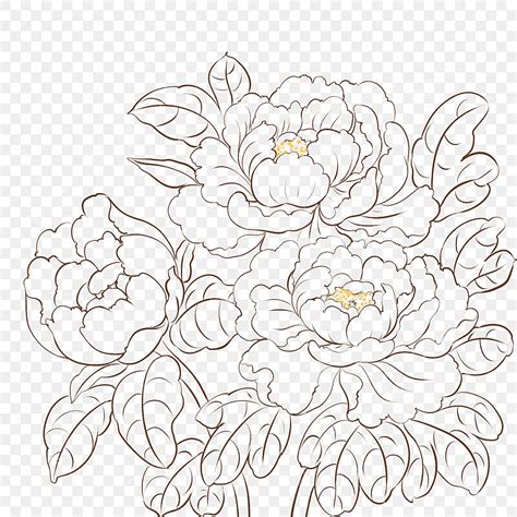 Line Drawing Peony Flower Flower Drawing Wing Drawing Peony Drawing