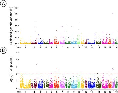 Manhattan Plots Of Weighted Single Step GWAS Of BMI A And Genomic