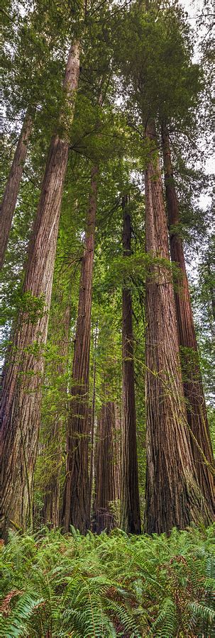 Highrise Photograph By Loree Johnson Fine Art America