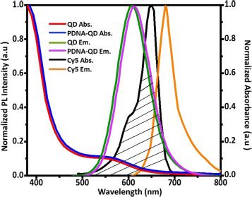 A Facile And High Sensitive Bio Sensing Of The V617F Mutation In JAK2