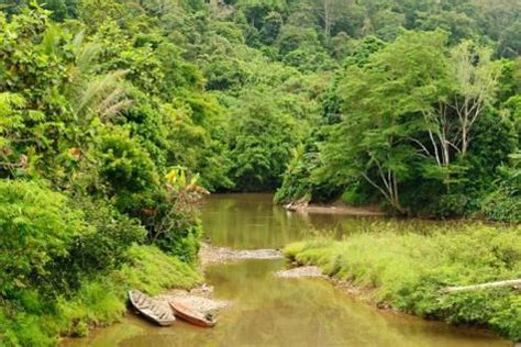 Danum Valley Coffin Cliff Trek Borneo Luxury Bali Etg