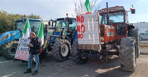 Divisi Alla Meta Gli Agricoltori Alla Conquista Di Roma Ma Il Fronte