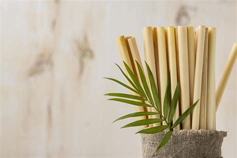 2023 Best Eco Friendly Straws Biodegradable And Compostable Renouvo