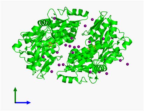 Crystal Structure Glucose Oxidase Aspergillus Niger , Free Transparent ...