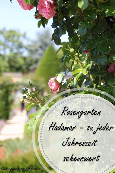 Rosengarten Hadamar Ausflugsort Das Ganze Jahr Limburgweilburg