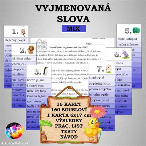 VYJMENOVANÁ SLOVA MIX bez chytáků Český jazyk gramatika