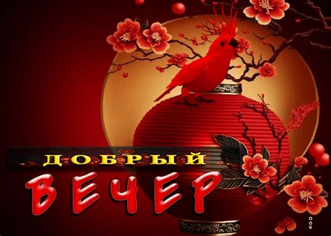 Магическая открытка с попугаем Добрый вечер- Скачать бесплатно на ...