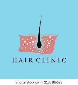 Hair Treatment Logo Illustration Design Premium Stock Vector (Royalty ...