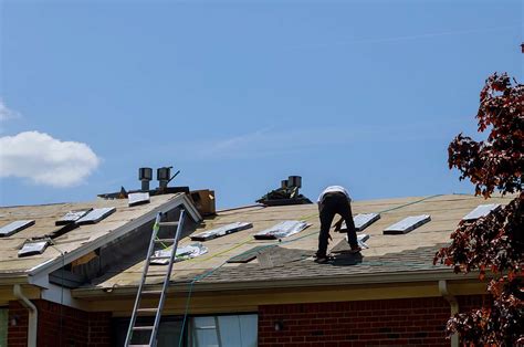 Roof Maintenance Tips For New Homeowners Annmarie John