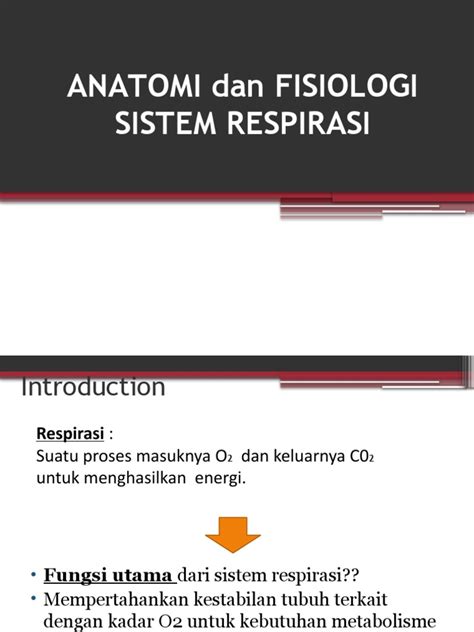 Sistem Respirasi | PDF