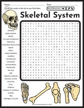 Skeletal System Word Search Puzzle by Word Searches To Print | TpT