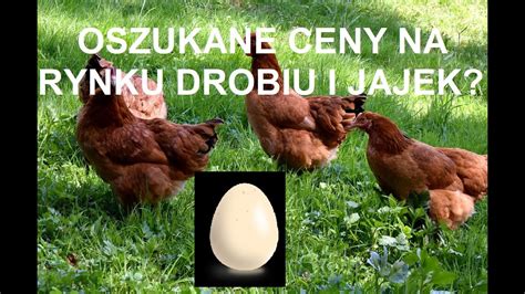 Odcinek Czy Ceny Na Rynku Drobiu I Jajek S Przek Amane Czy Da