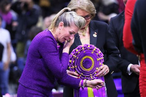 Westminster Kennel Club dog show: all this year’s winners | Evening ...