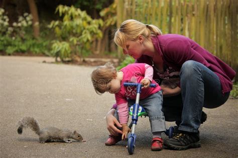 Feeding squirrel stock photo. Image of adorable, animals - 31357926