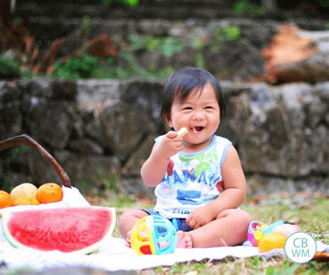 Snacks for Babies and Toddlers - Babywise Mom