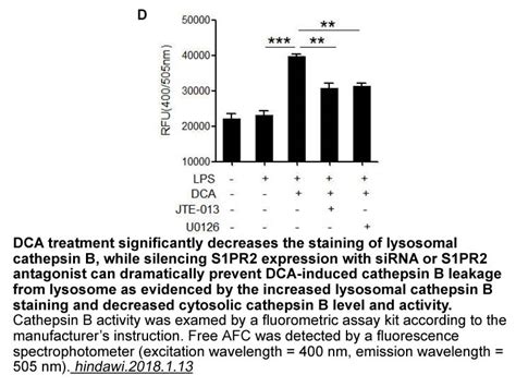 Apexbio Cathepsin B Activity Fluorometric Assay Kit Detects