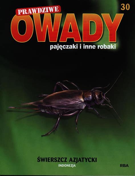 Prawdziwe Owady Paj Czaki I Inne Robaki Reedycja Hachette Polska Sp