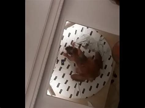 Motel loira gaúcha XVIDEOS