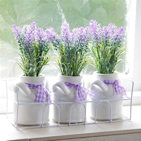 Vera Lavender Seeds | Sweet English Perennial Flower Purple ...